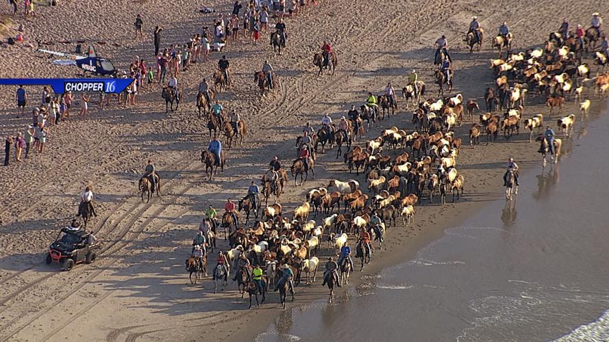 Another Pony Walk Angle