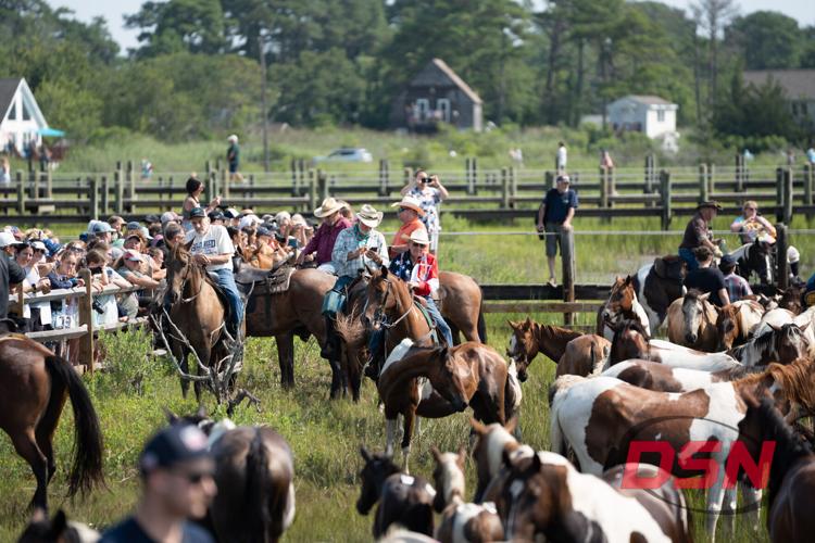 Saltwater Cowboys in cowboy hats watching the herd by the fence.jpg