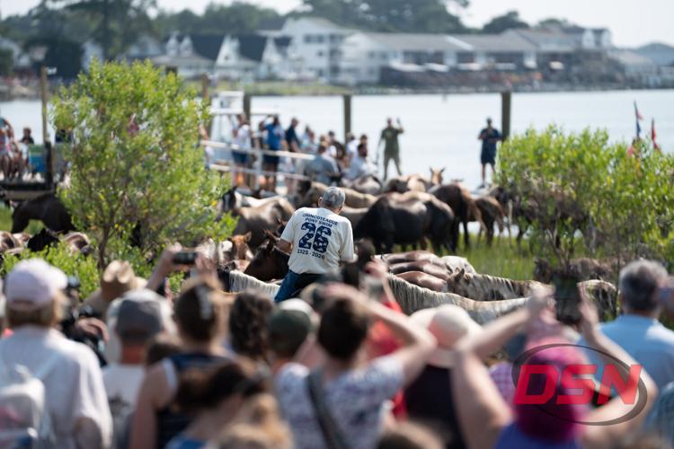 Man in a Chincoteague Pony Swim shirt watching the ponies come ashore.jpg