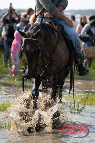 Saltwater Cowboy's horse splashing through the marsh water.jpg