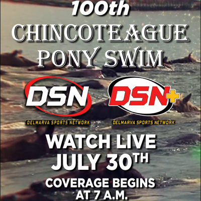 100th Chincoteague Pony Swim