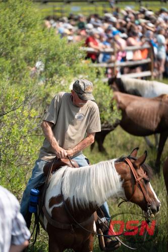 Saltwater Cowboy in a civic tradition shirt riding past the crowd.jpg