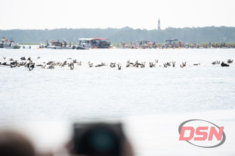 Pony swim viewed through the crowd with a spectator's camera.jpg