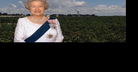 "The Queen's Farm" connects The Delta to QE2 - Vimarsana News