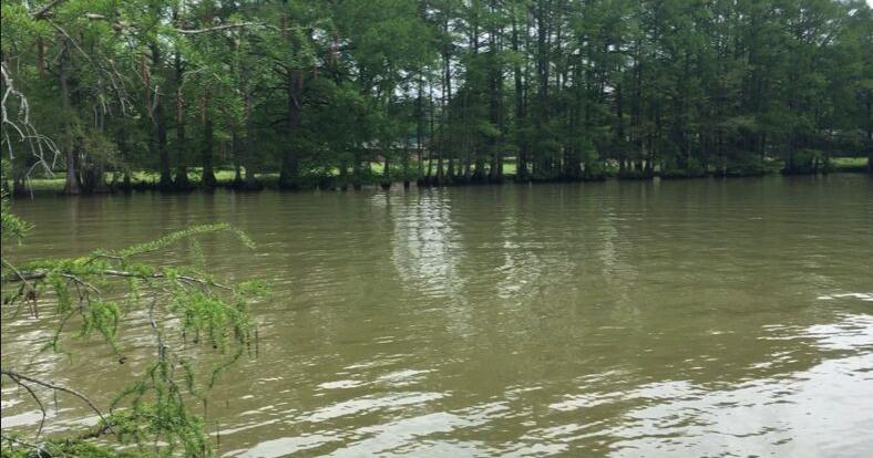A Look at Louisiana's High Water Levels