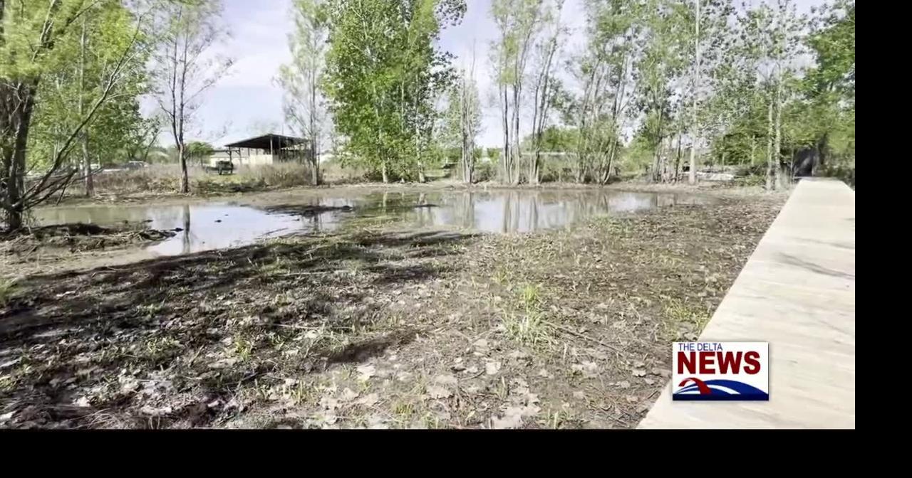 Spring Forecast: Warmth on the Way, Rainfall Less Certain