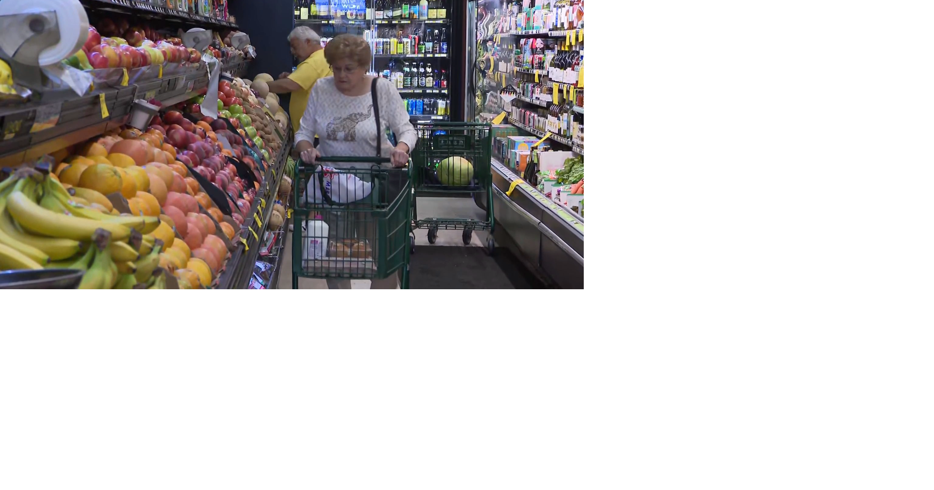 SNAP benefits replacement