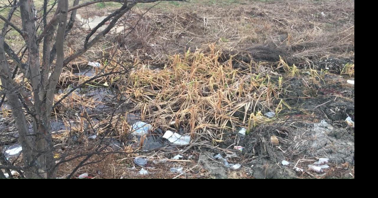 Greenville council discusses increasing litter problem | News ...