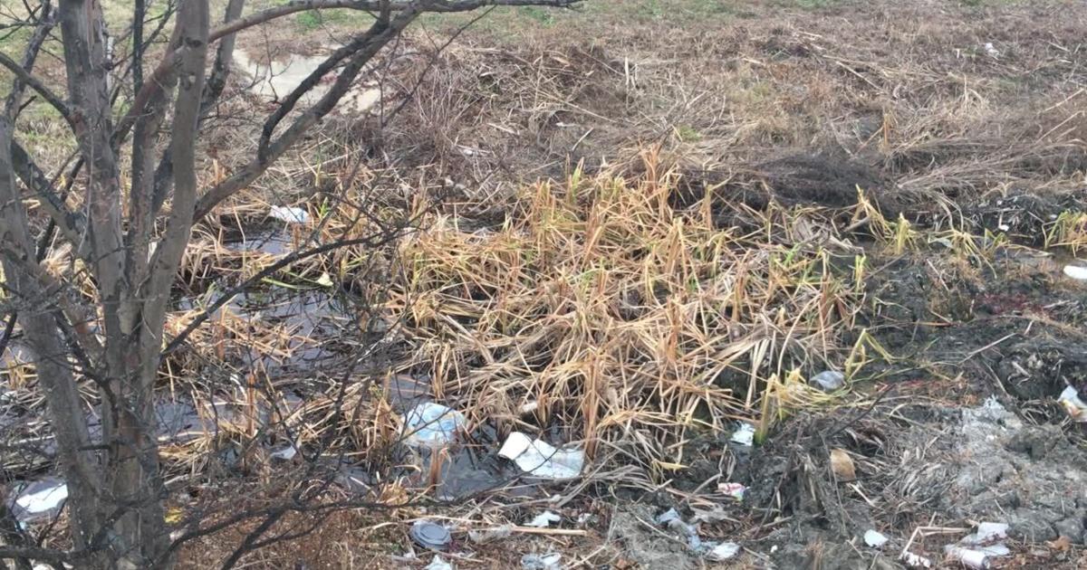 Litter Problem In Rgv Greenville council discusses increasing litter problem | News ...