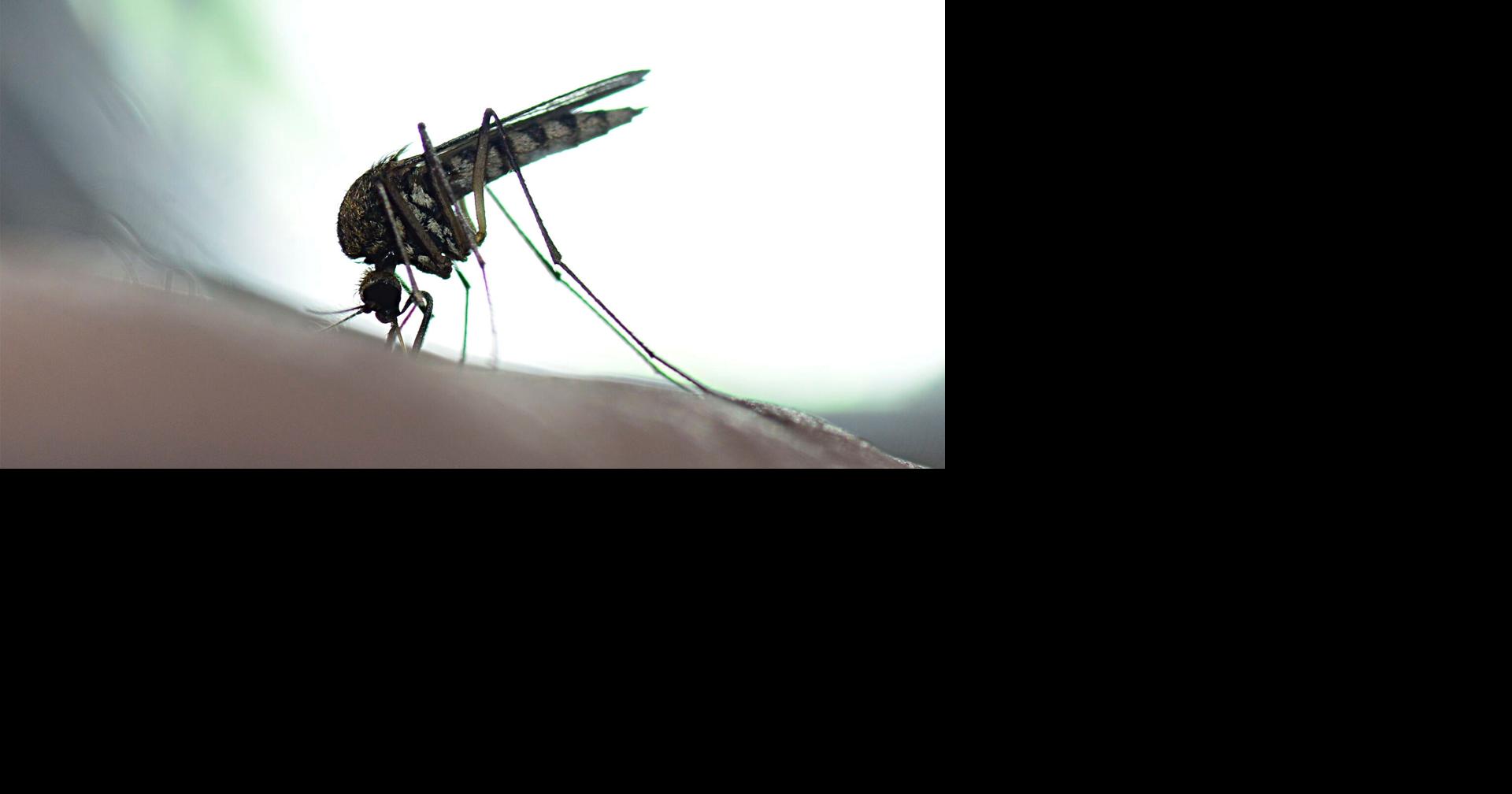 Mississippi reports first human death of the year from West Nile virus