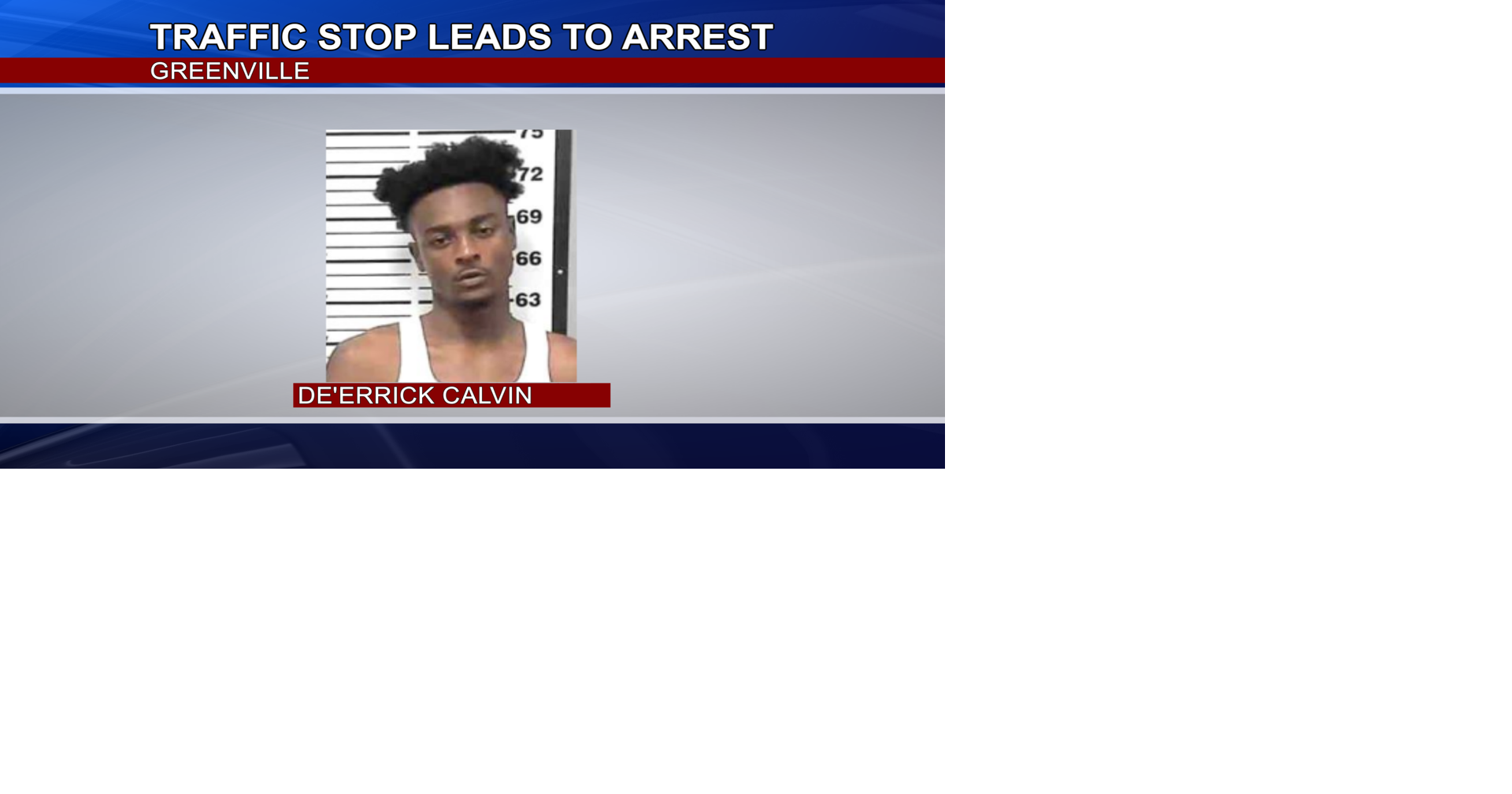 Traffic Stop Leads to Arrest | Crime | deltanews.tv