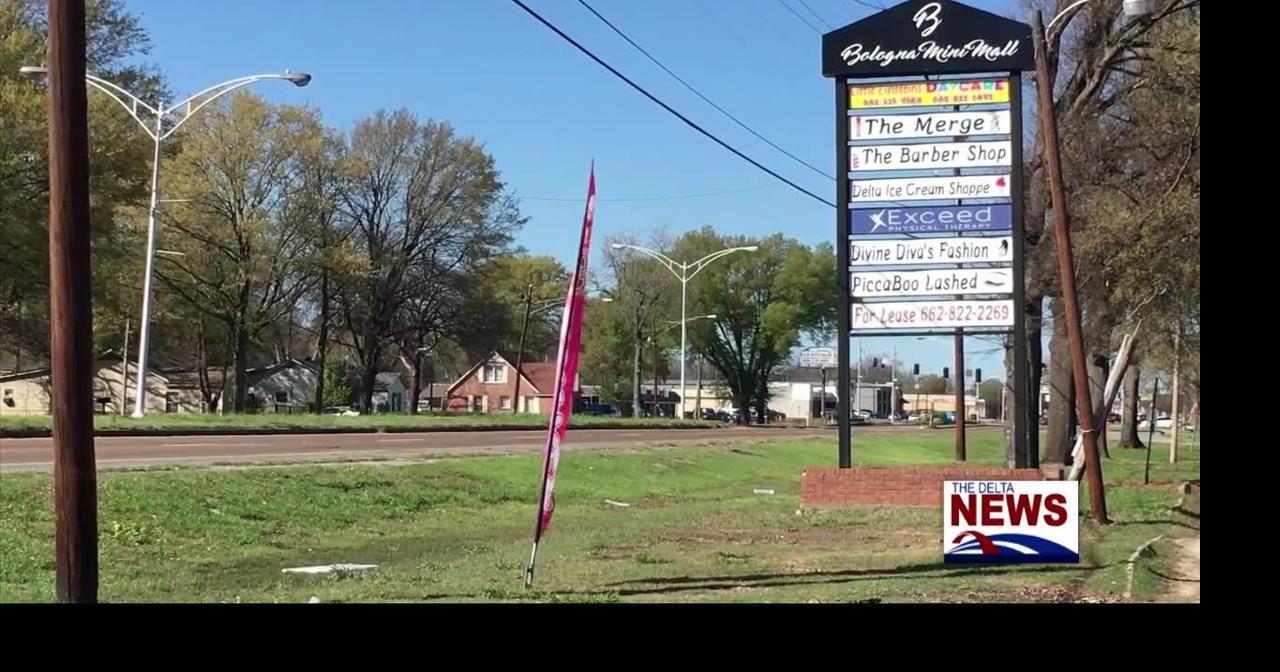 Businesswomen across Greenville speak on inspirations and dreams for Women's History Month