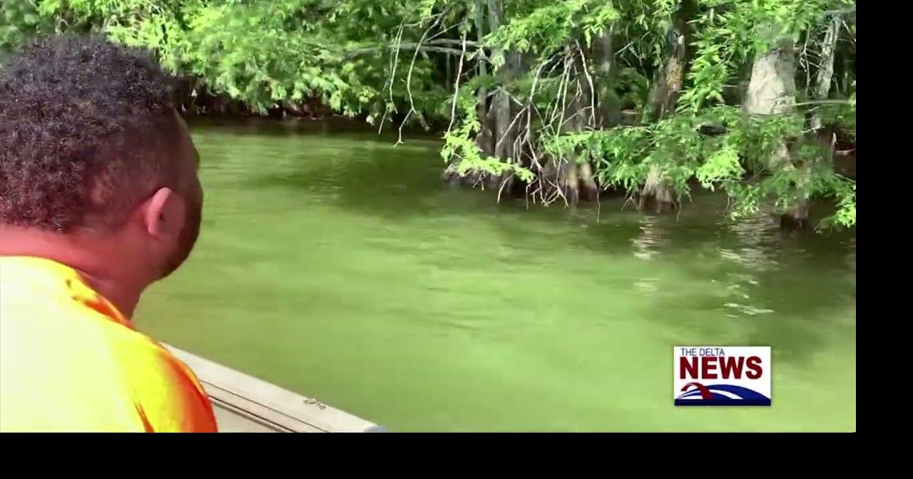 13th Annual Snake Grabbin' Rodeo | News | deltanews.tv