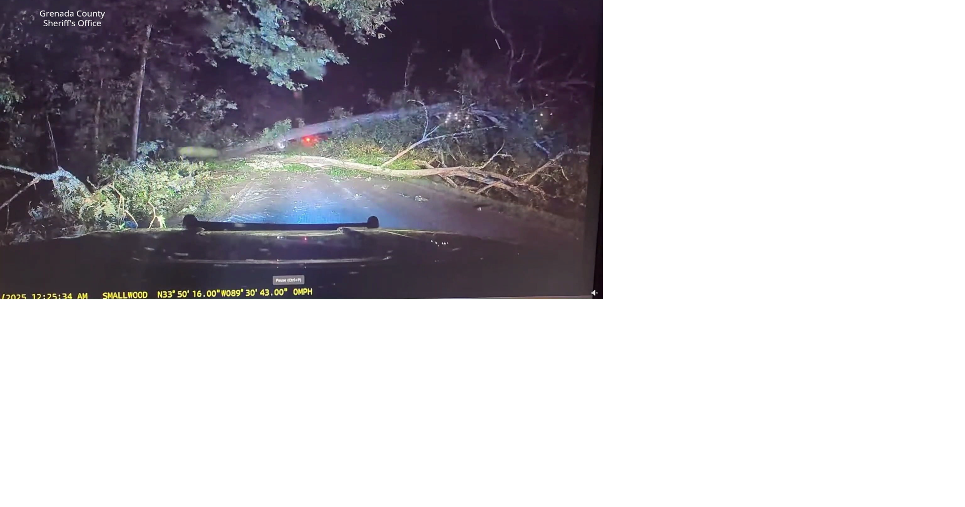 Fallen Tree Hits Power Line | Local News | deltanews.tv