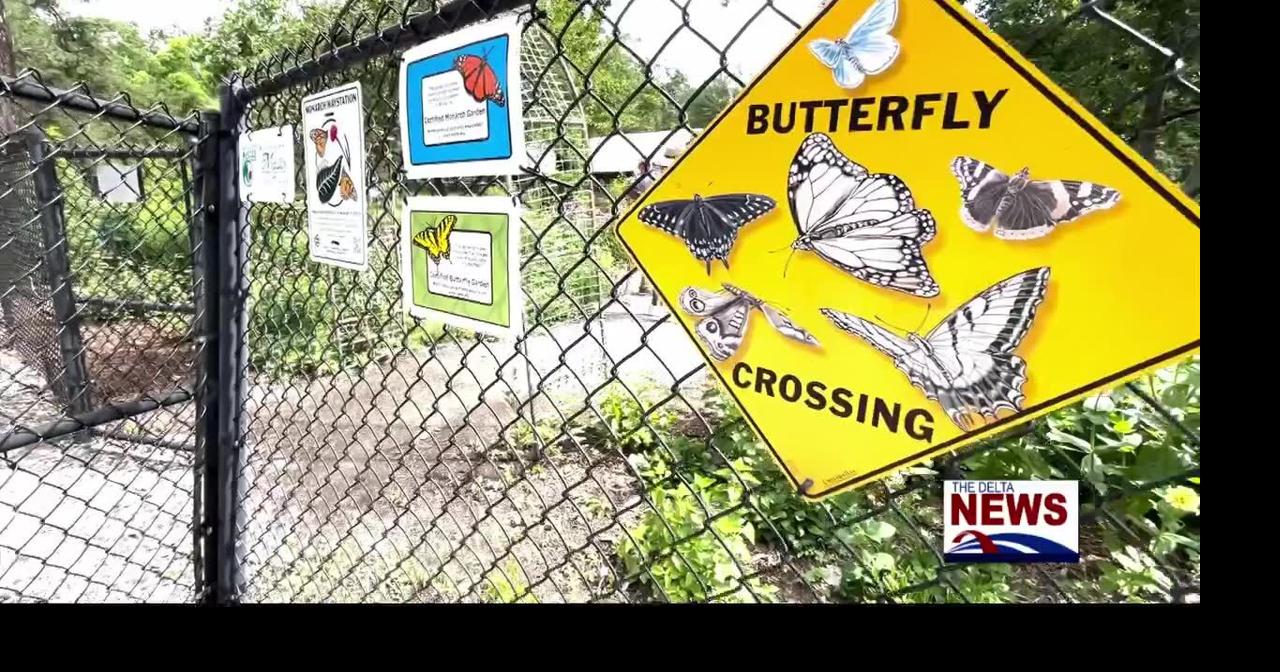 Butterfly garden at Yazoo National Wildlife Refuge celebrates 20 years