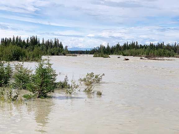 Expanded New Channel of Delta River