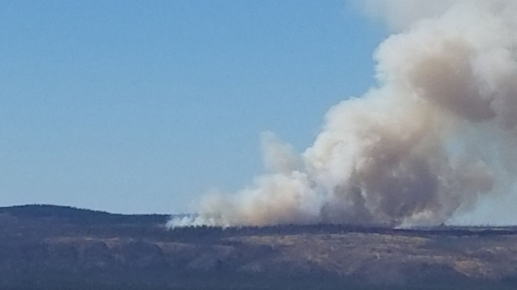 Fire breaks out on Mississippi Range Local