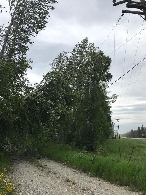 Wind Causes Power Outages Small Fires Local Deltawindonline Com