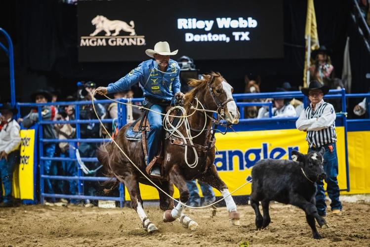 Riley Wilson Roper How professional tie-down roper Riley Webb conquered the rodeo world ...