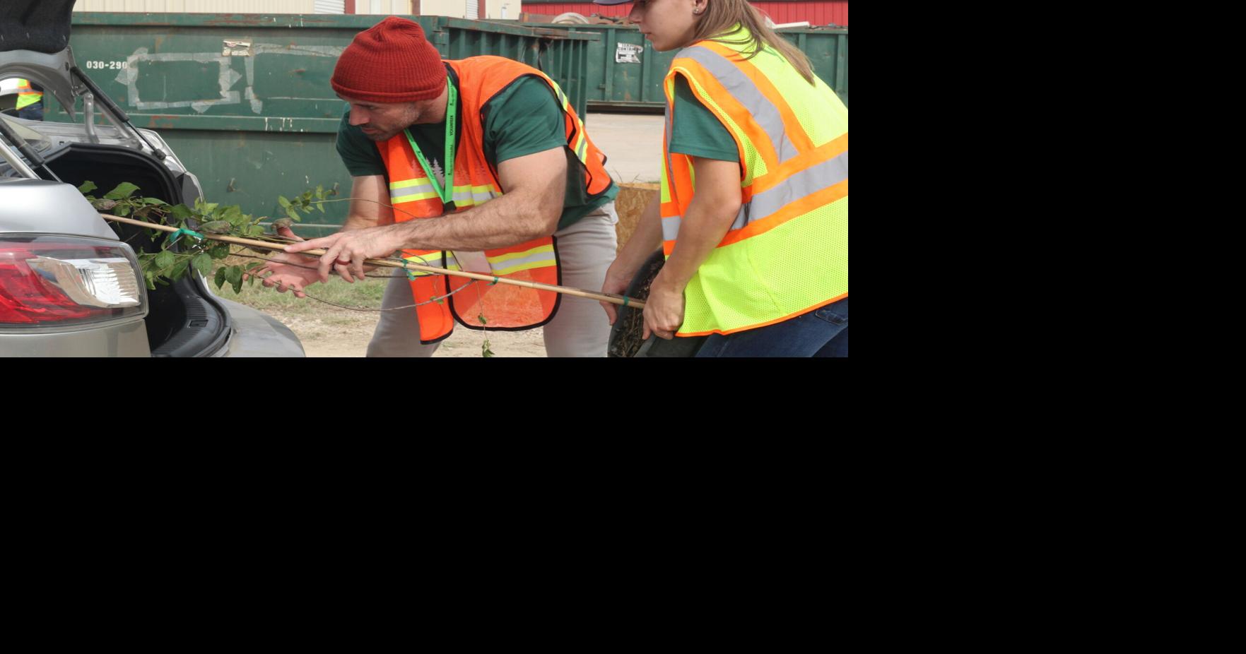 25 years on, Denton hands out 700 free trees to locals during annual giveaway News