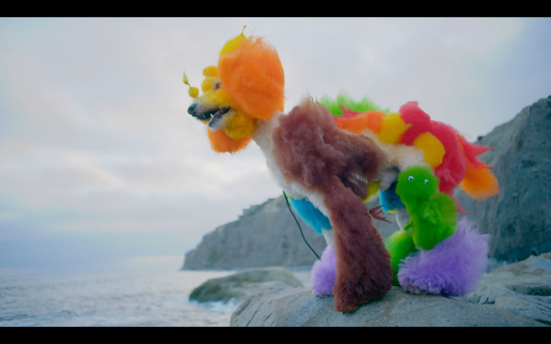 famous poodles in movies