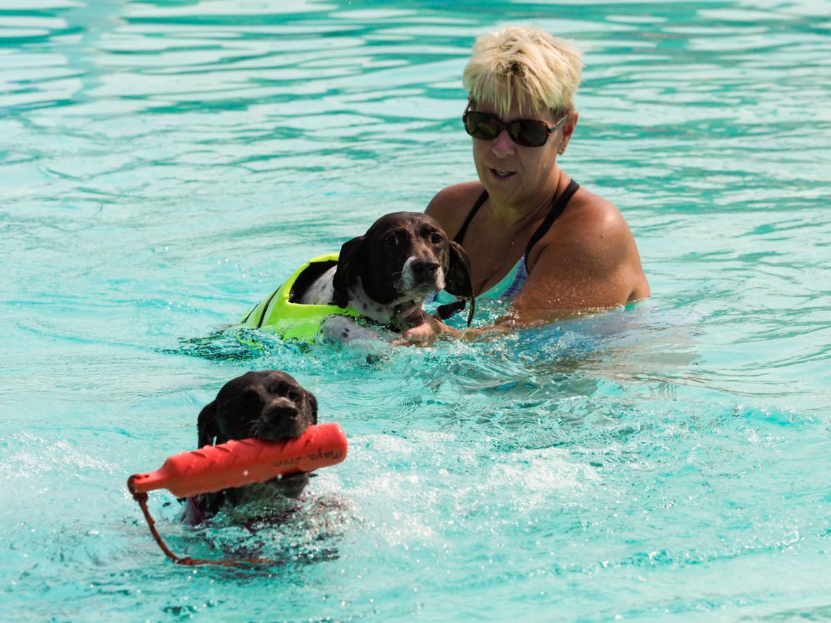 20210911_drc_news_DogDays_02