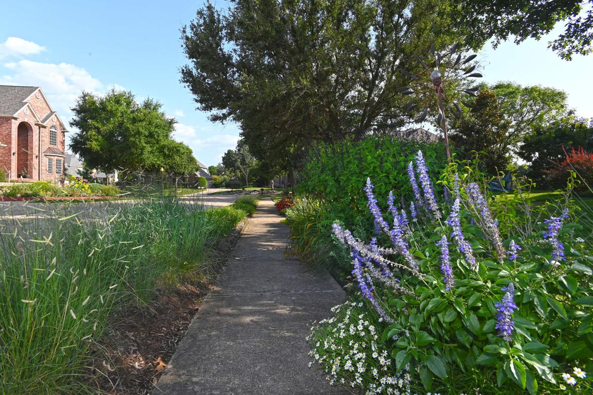 Native Plants Cement And Conflict A Flower Mound Family Clashes With Hoa Over Narrow Strip Of Property Dentonrc Com