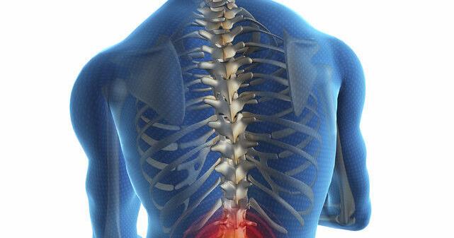 Denton chiropractor celebrates 25 years - Vimarsana News