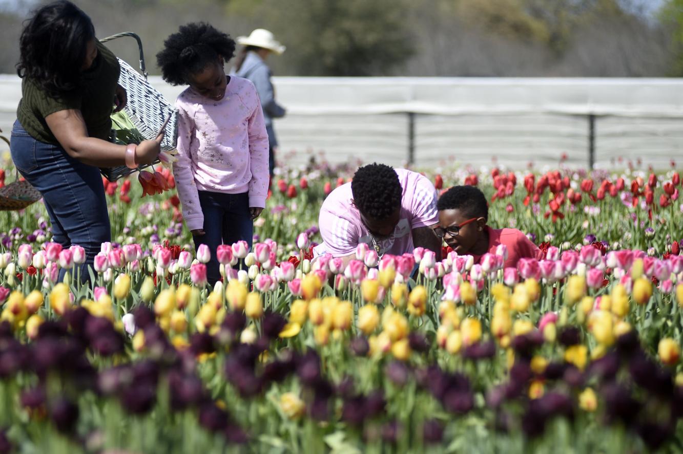 Doing spring break in Denton County and beyond, plus a note for