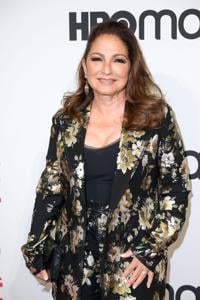 Father of the Bride' Q&A: Gloria Estefan on complex family dynamics, weight  of words, Entertainment