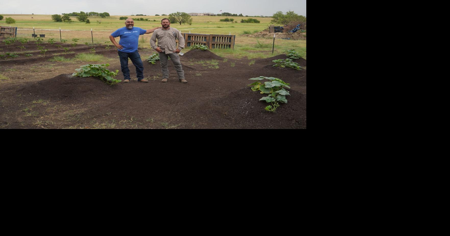 In less than one year, Community Strong Farms harvests crops ...