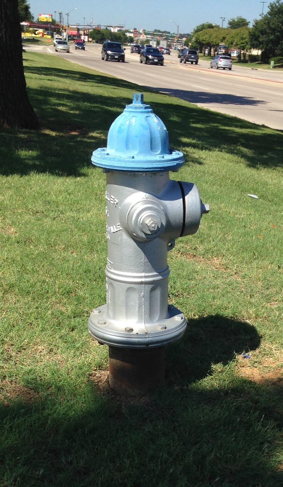Insight Denton Why are some fire hydrants painted with blue tops and