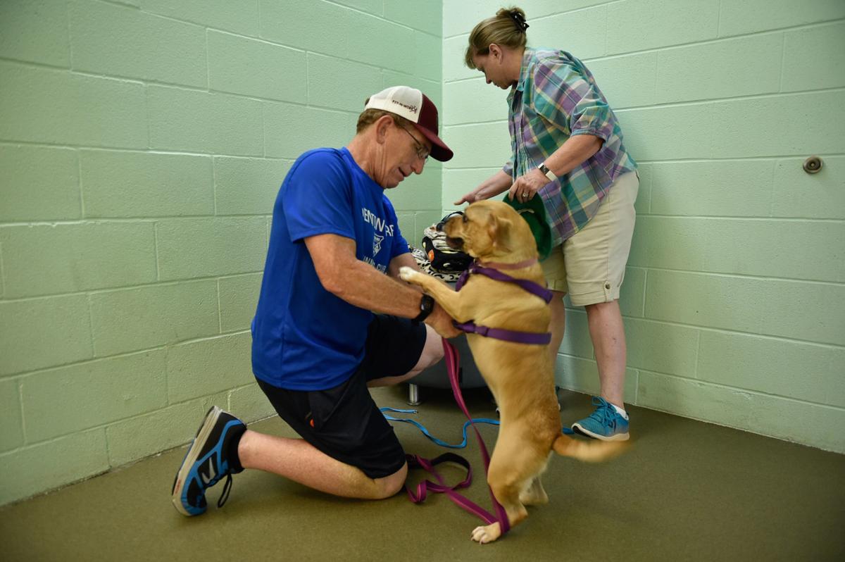 Denton running club, animal shelter work together to get dogs adopted