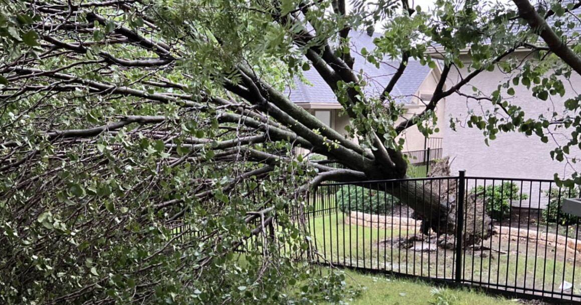 Picking up after storm damage? What to do with broken trees, limbs and debris in Denton - Vimarsana News
