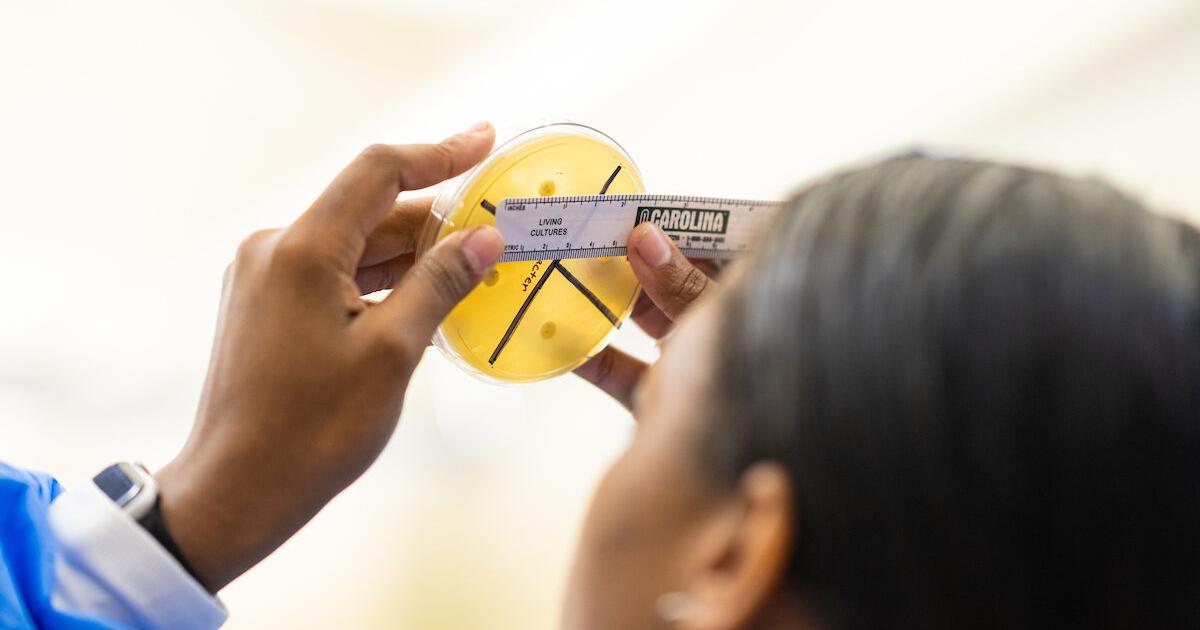 Art, STEM and sports: Kids' summer camps you can still register for in ...