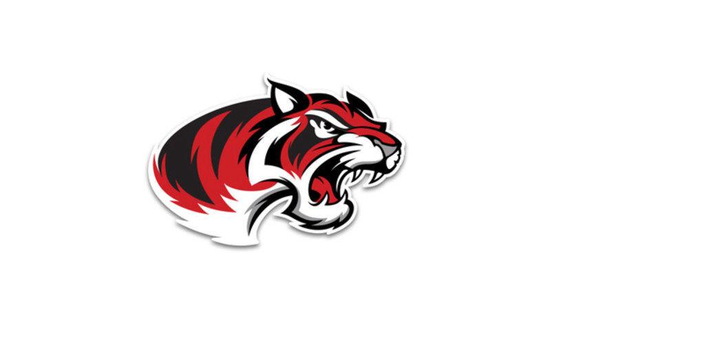 Football Turnovers Doom Braswell In District Loss To Lucas Lovejoy Sports Dentonrc Com