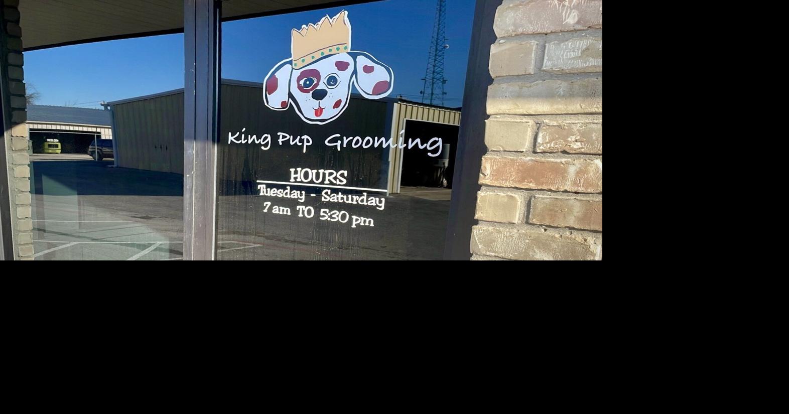 Denton PD investigates alleged animal abuse at local dog grooming business Denton