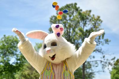 Spring Delivery How The Parks Foundation Made Use Of 2 000 Easter Eggs Denton Time Dentonrc Com