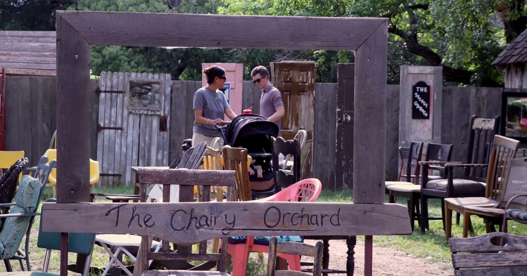 Denton Parks & Rec wants residents' views on Chairy Orchard at public meeting - Vimarsana News