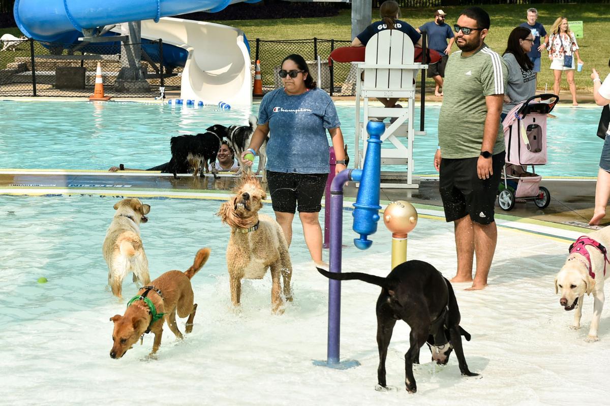 20210911_drc_news_DogDays_08