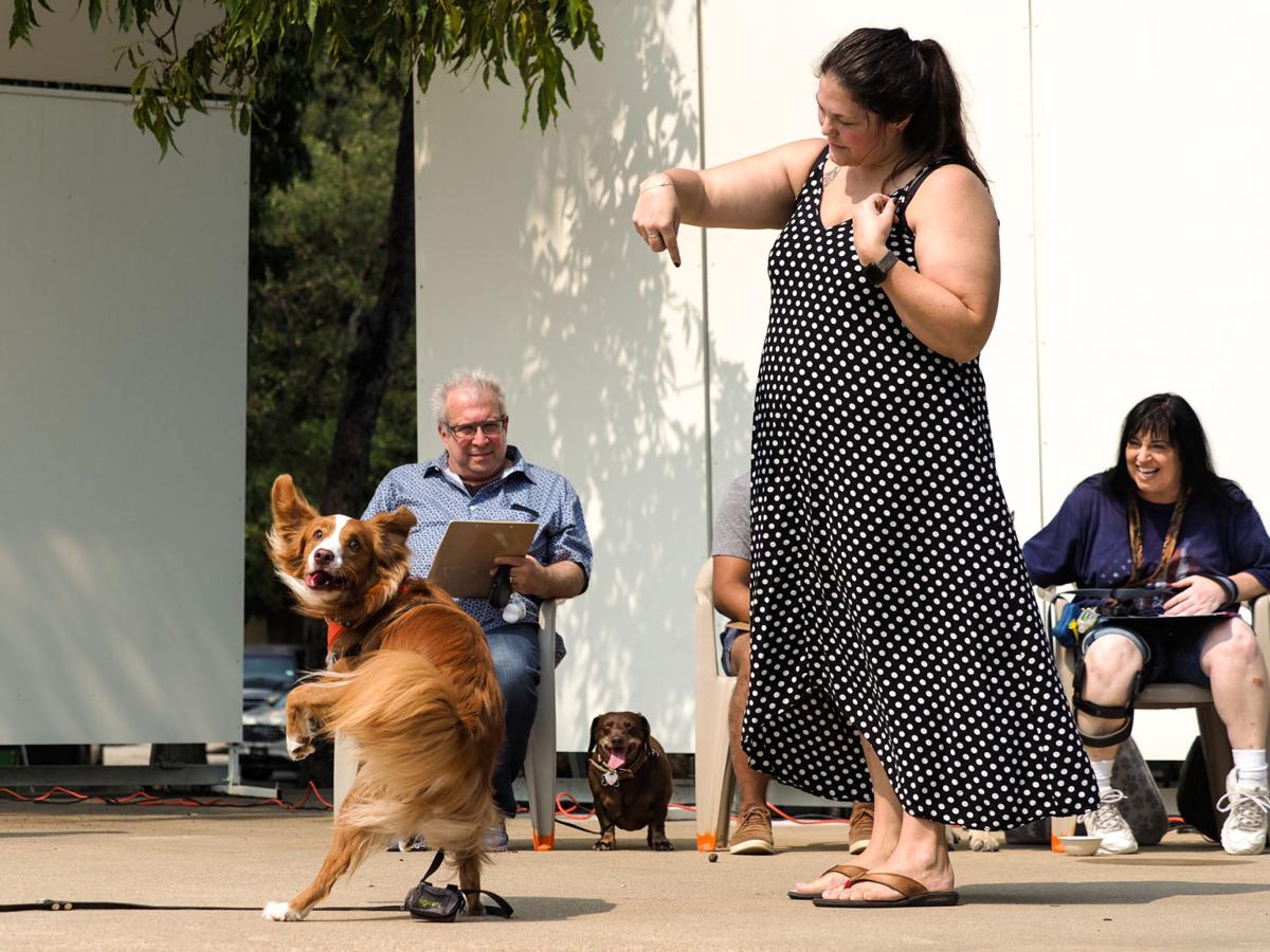 20210911_drc_news_DogDays_12