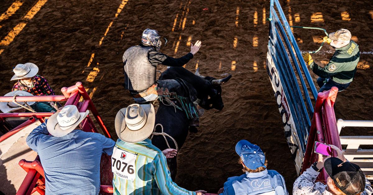 Photos: Bull riding, 'wild drag race' and more at Texas Tradition Rodeo ...