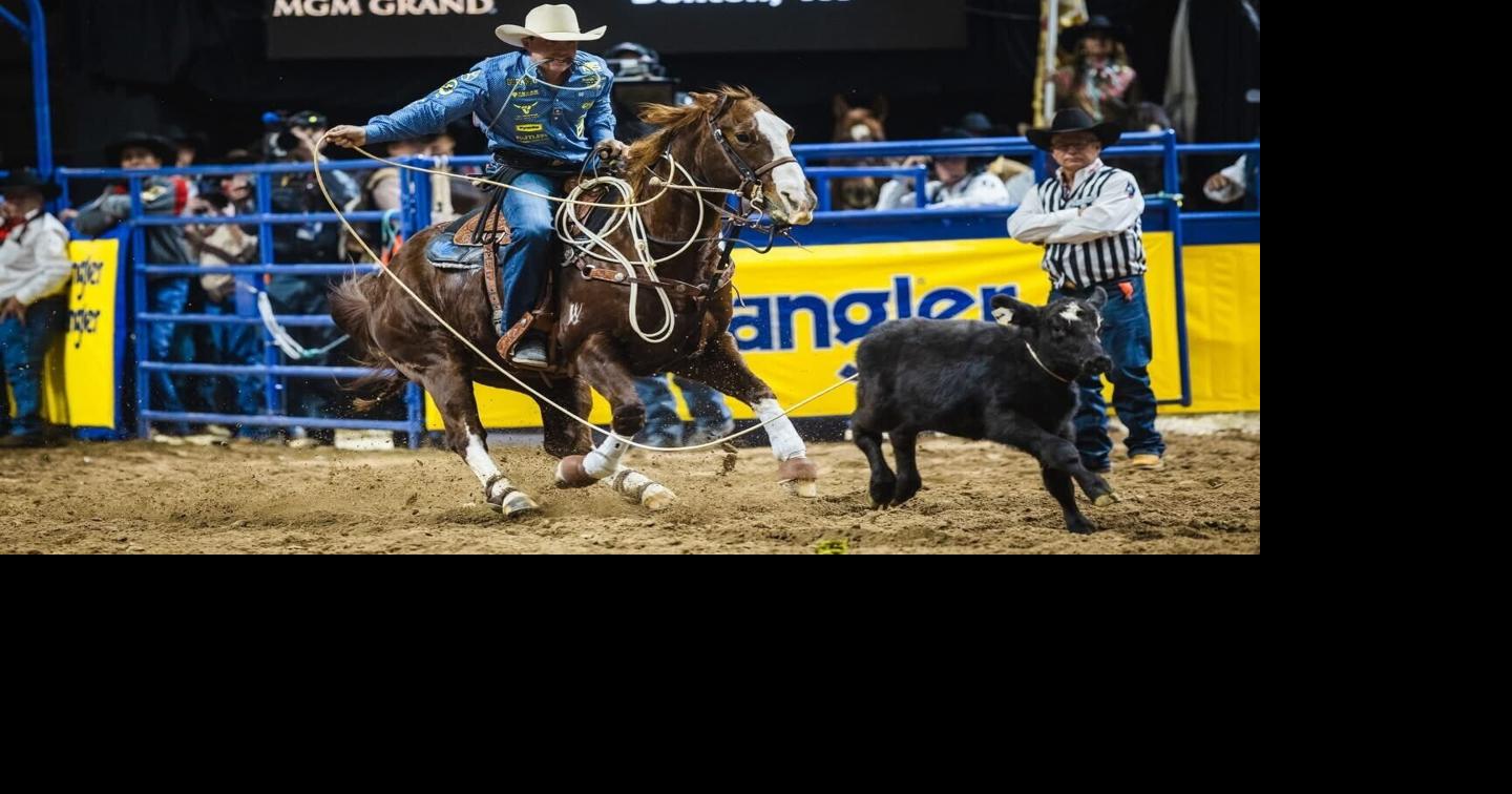 How professional tie-down roper Riley Webb conquered the rodeo world ...