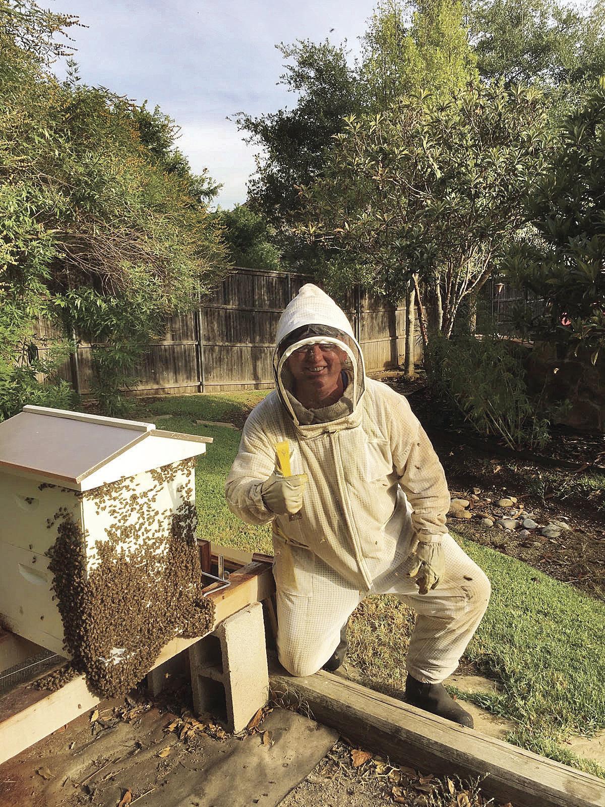 The Buzz On Bees Why Buckets Of Honey Aren T The Only Reason You