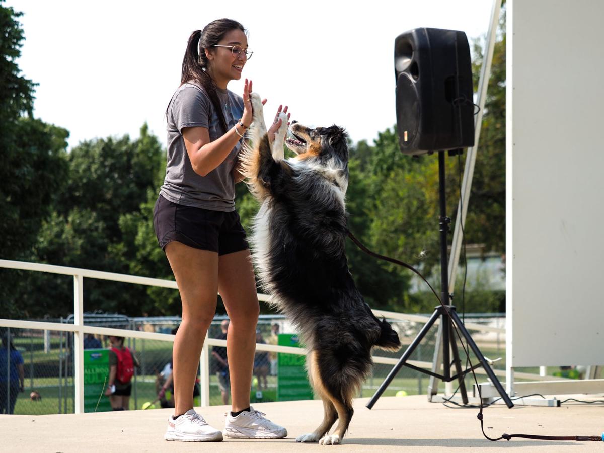 20210911_drc_news_DogDays_11