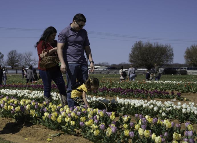 Doing spring break in Denton County and beyond, plus a note for