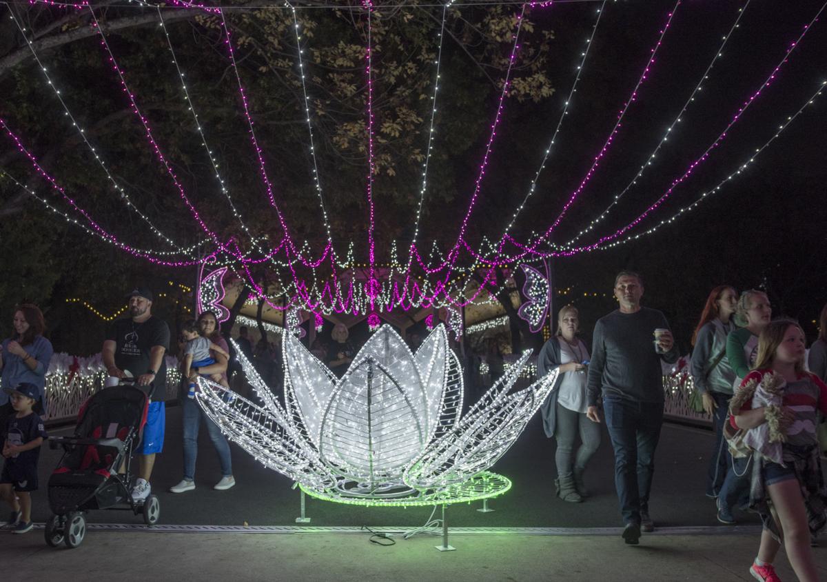the top places to see christmas lights in dallas fort clovis nm zoo christmas lights