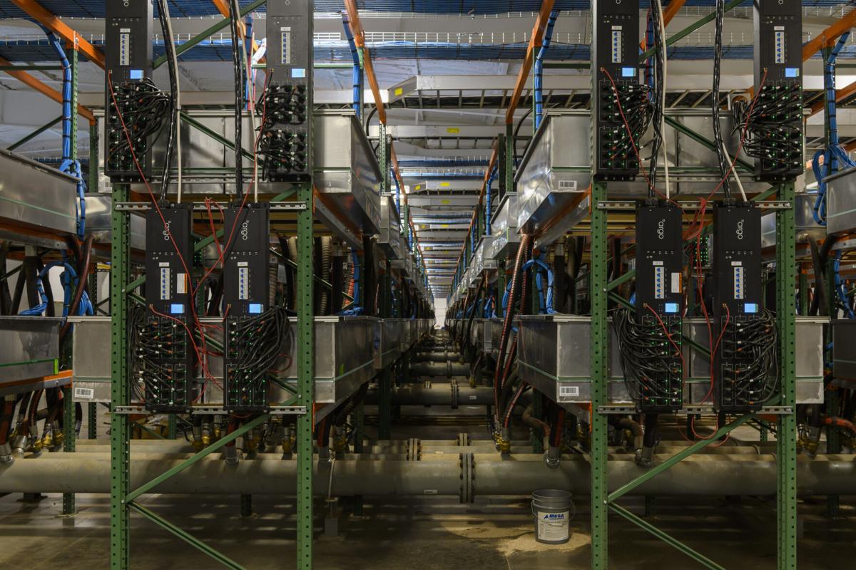 Crypto miners must register with state and reveal power usage under new  Texas rule | State | dentonrc.com