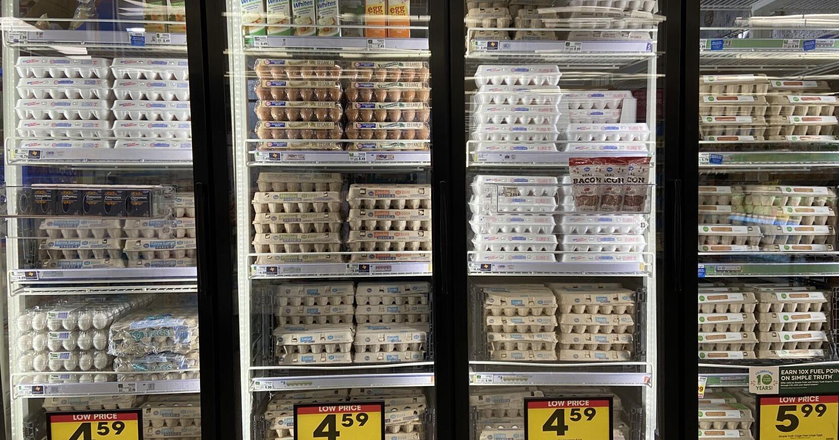 Bird flu outbreak: Experts say no need to panic about egg, dairy prices or production in Texas - Vimarsana News