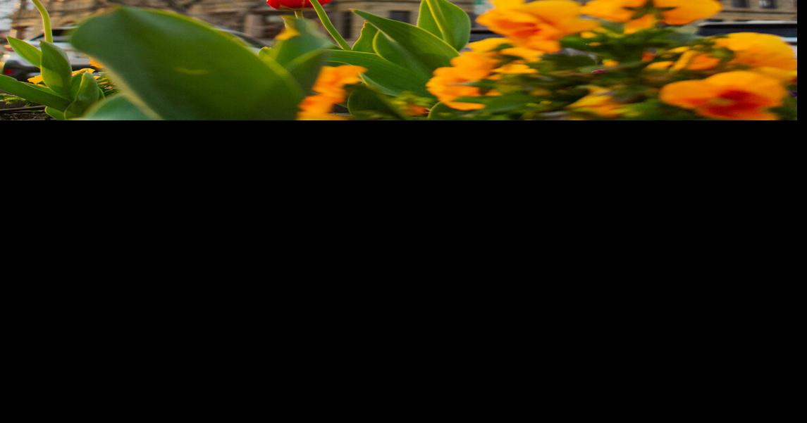 Best of Denton 2022 Best of Denton